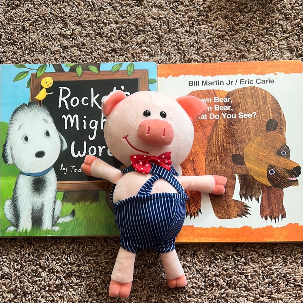 Plush Pig Toy with Books Set